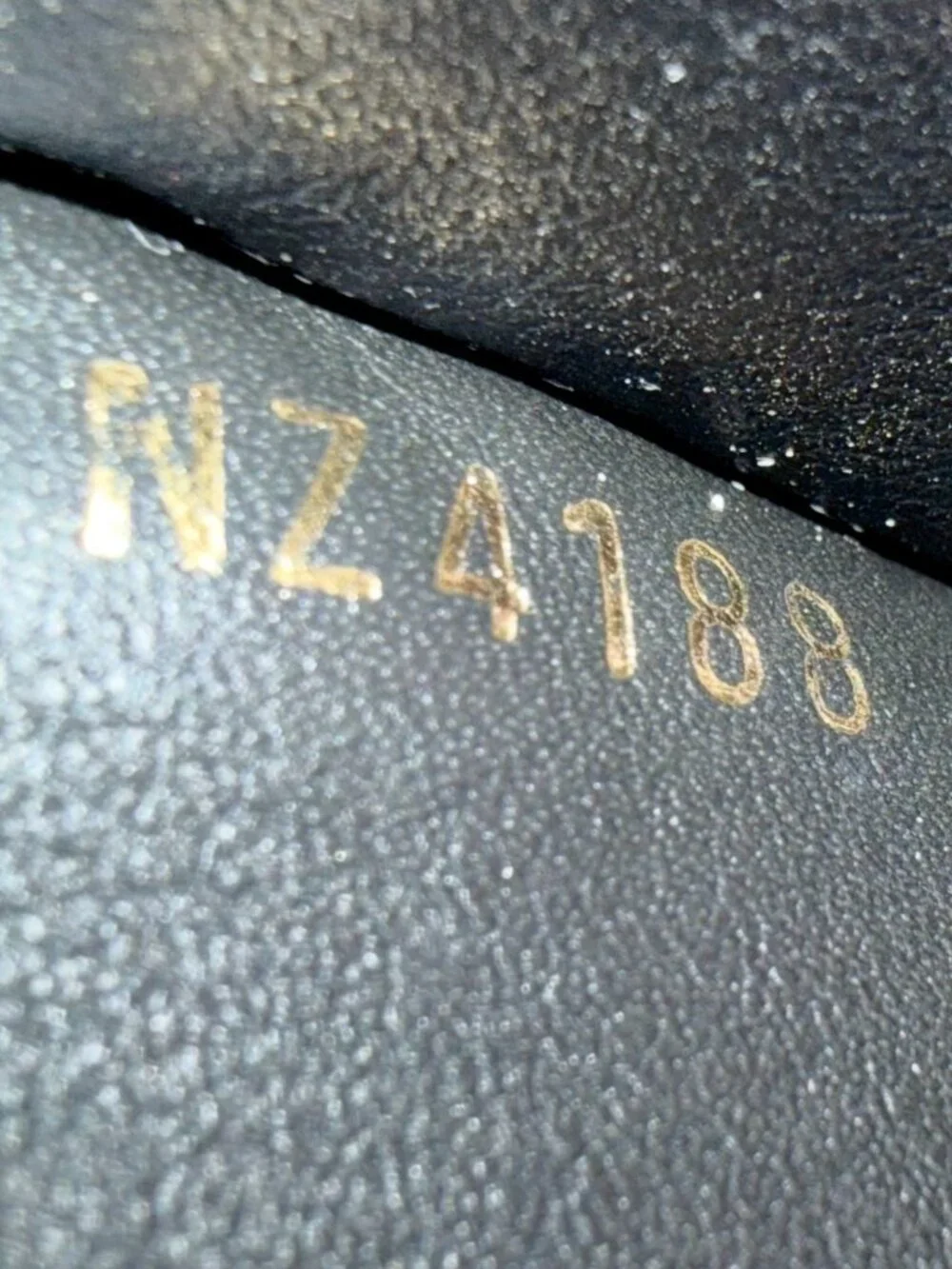 Louis Vuitton this authentic